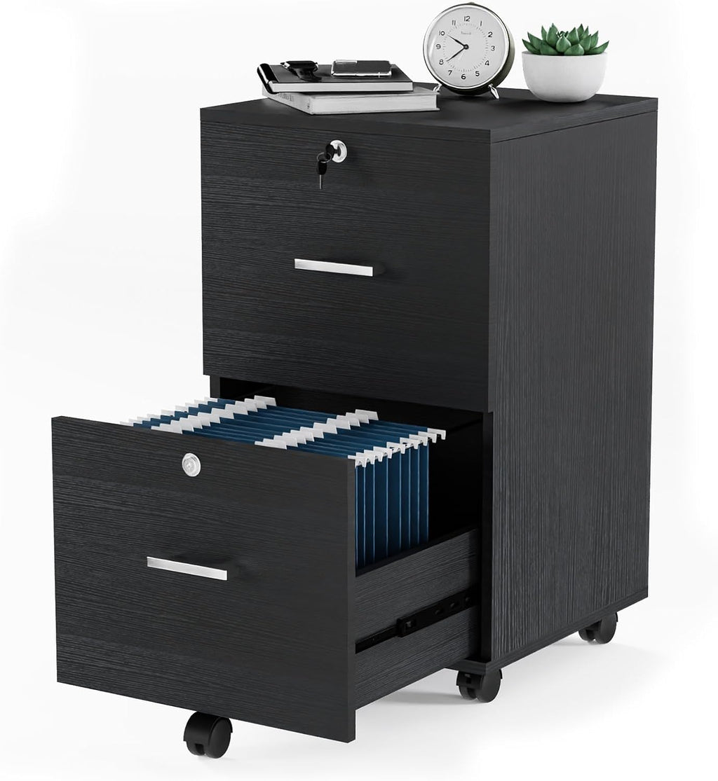 Black 2-Drawer Locking Rolling File Cabinet